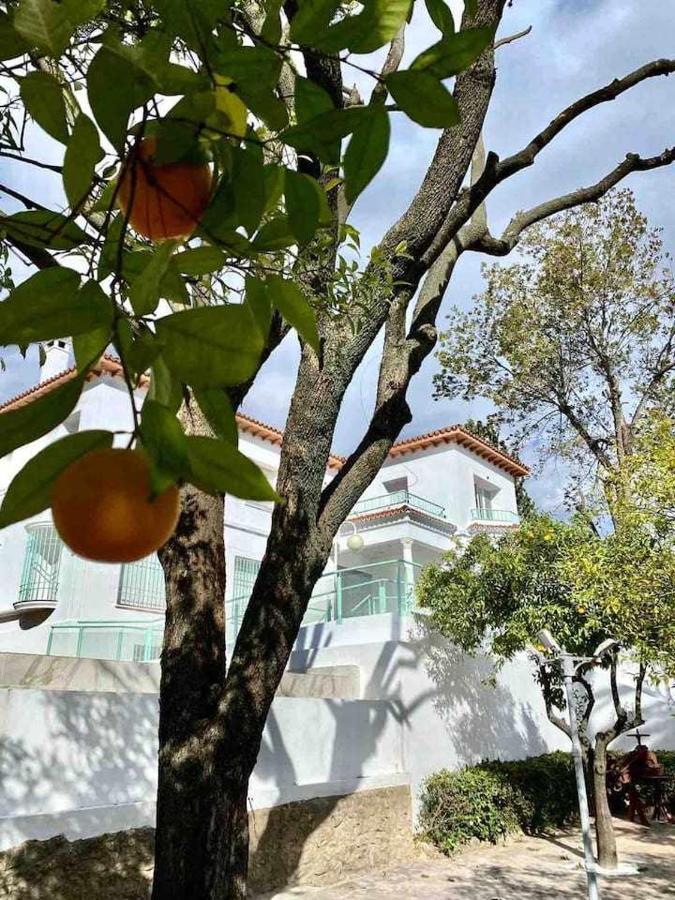 Nuevo Los Almendros 202 Complejo Turistico Apartment Cordoba Exterior photo